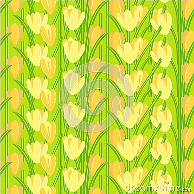 Crocus seamless background. Yellow spring flowers, green leaves on green background. Vector Illustration